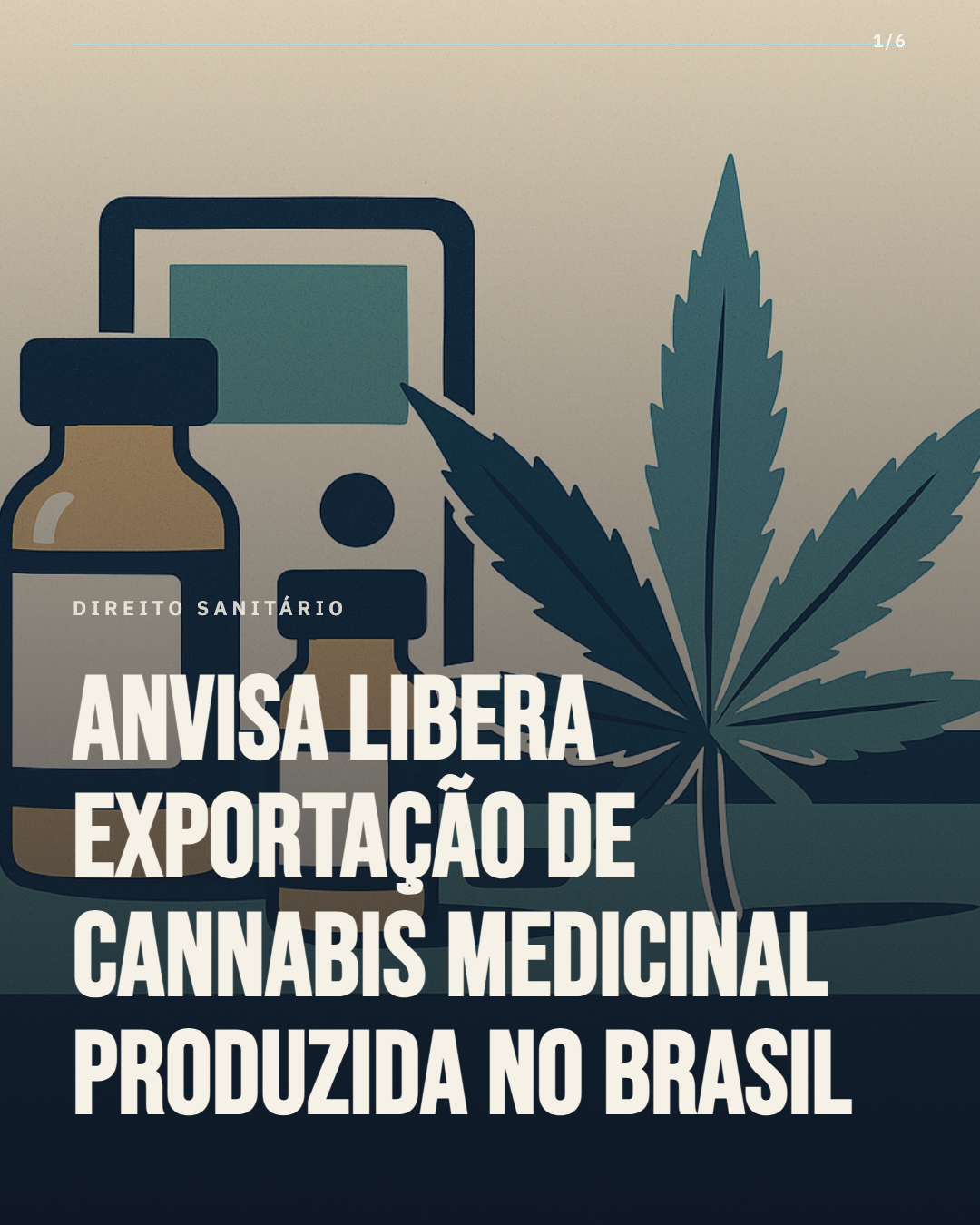 Anvisa libera exportação de cannabis medicinal: Brasil entra no mercado global